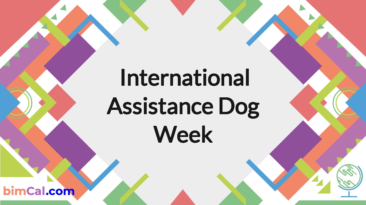 International Assistance Dog Week 2024