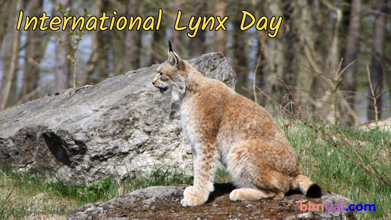 International Lynx Day 2024