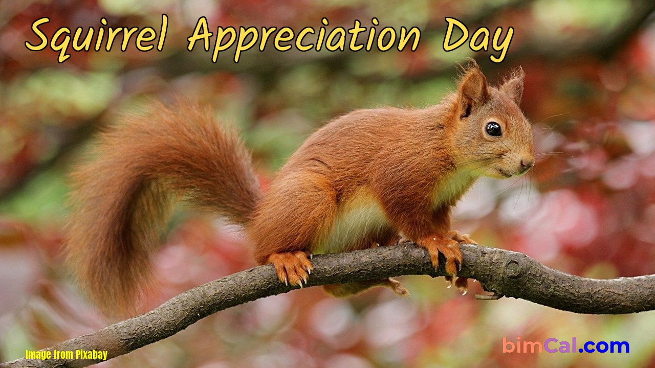 National Squirrel Appreciation Day 2024 Date Charo DeeDee