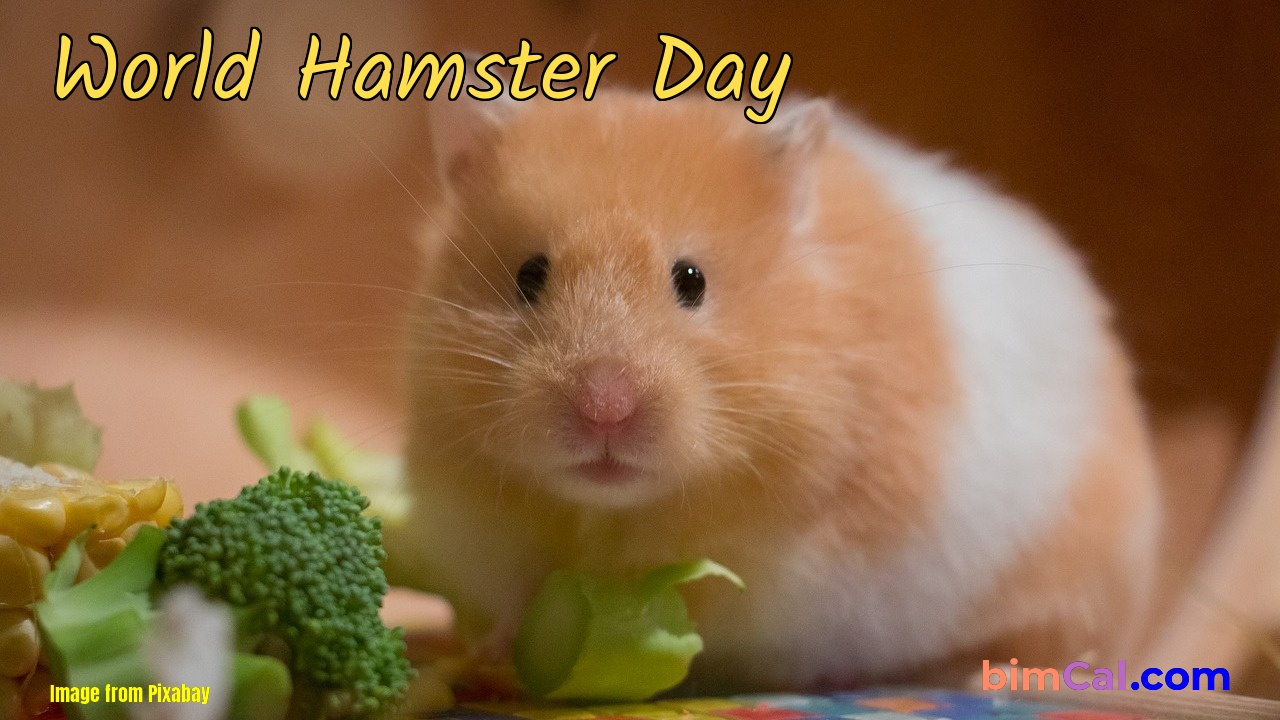 World Hamster Day 2024